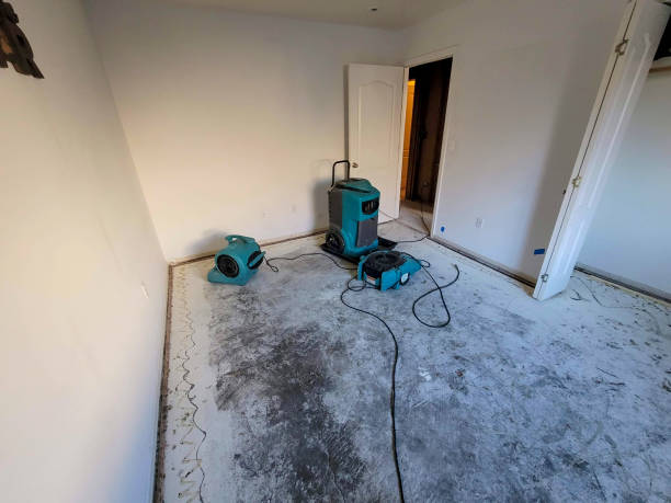 Best Carpet water damage restoration  in Union Gap, WA