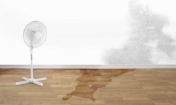 Best 24-hour water damage restoration  in Union Gap, WA